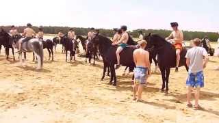 The Blues and Royals Holkham Beach 2014 [upl. by Nnaeirb]