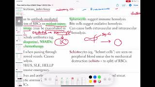 Drug induced hemolytic anemia haematology 54 First Aid USMLE Step 1 in UrduHindi [upl. by Osborne296]