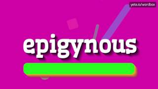 EPIGYNOUS  HOW TO PRONOUNCE IT [upl. by Liggitt]