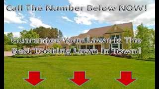 Lawn Service Jacksonville Fl  904 5314777 Lawn Care Jacksonville Fl [upl. by Bettina]