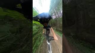 Super morzine steeps crash🤣 sbnp morzine supermorzine mtb sickbutnotpoorly mtbcrash [upl. by Hillary]