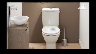 How to replace a toilet flushing system [upl. by Vish]