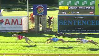 CapalabaThursday23052024Race9 [upl. by Itsrik]