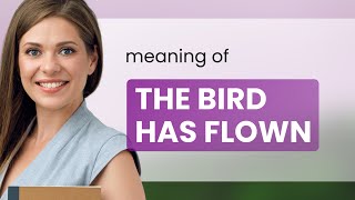 The Bird Has Flown Unraveling English Idioms [upl. by Talich]