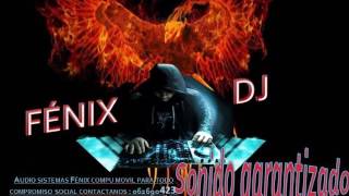 🎼🎹🎤MIX ORQUESTAS CAYAMBEÑAS EXITOS 2017 FENIX DJ [upl. by Tu]