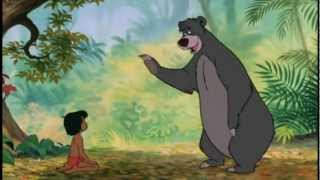 jungle book hd strictul necesar [upl. by Neeleuqcaj]