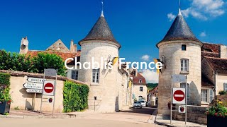 Chablis France 🇫🇷 wine chablis france [upl. by Llezo]