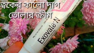 ত্বকেExovate N ক্রীম এর কাজ কি  কালো দাগ দূর করার ক্রিম এবং উপকারিতা [upl. by Amuh940]