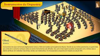 OS INSTRUMENTOS DE UMA ORQUESTRA  FAMÃLIAS CORDAS METAIS MADEIRAS E PERCUSSÃƒO [upl. by Eissak492]