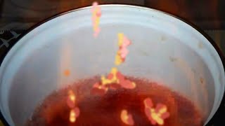 Fiery wine syrup Сake syrup Simple Syrup Recipe Cake Syrup Recipe How to make cake syrup [upl. by Kawasaki]