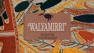 Walyamirri Return of the Living Environment  Yirrkala NE Arnhem Land NT [upl. by Nila]