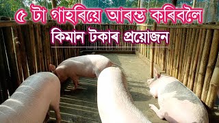 Pig farm assam  নতুনকৈ গাহৰিপালন আৰম্ভ কৰিবনেকি  Investment plan for pig Farming  Bikis vlog [upl. by Malony8]