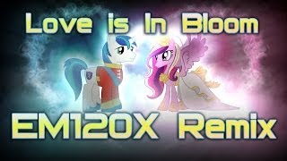 EM120X  Love is In Bloom Remix [upl. by Weisberg698]