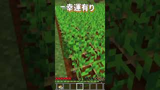 幸運ついた道具で畑の野菜を収穫すると多く取れる！？ マインクラフト minecraft shorts [upl. by Ditzel]