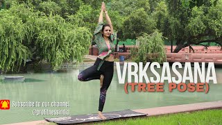 Yoga For Beginners  Tree Pose Vrksasana  Benefits of Tree Pose in Your Yoga Practice  Yoga [upl. by Ecirehs]