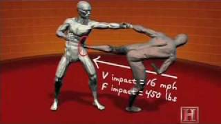 Human Weapon Sambo  Side kick [upl. by Alael]