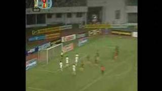 Africa Cup of Nations 2008  top 10 goals [upl. by Noiek]