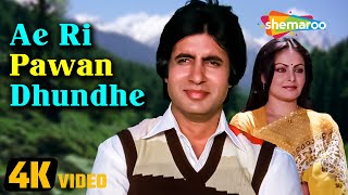 Ae Ri Pawan Dhunde 4K Video  Bemisal 1982  Rakhee Amitabh Bachchan  Lata Mangeshkar Hit Song [upl. by Cammi912]