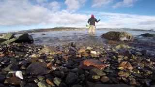 Sjøørretfiske i indre Oslofjord [upl. by Marylynne978]