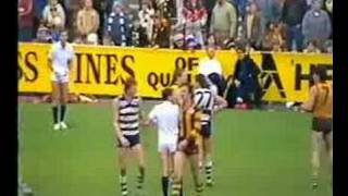 R12 1985 Hawthorn v Geelong brawl part 1 [upl. by Etteniuq]