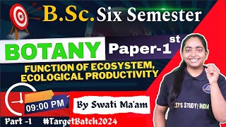 Function of Ecosystem Ecological Productivity  BSc Botany 6th Semester  Swati Maam [upl. by Enenstein]