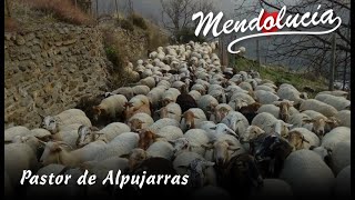 Pastor de Alpujarras [upl. by Shena824]