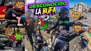 UN DON ME LA BUFA 🥵🤘🏻 ADIÓS RETROVISOR  GRAVE ERROR BIKER  Observaciones Diarias 98 [upl. by Ennairb]