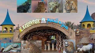 A visit to Al Naseem Park Al Hamra Nizwa Oman [upl. by Rezzani]