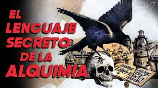 Lenguaje Secreto de la Alquimia El Idioma de los Pájaros [upl. by Ori]