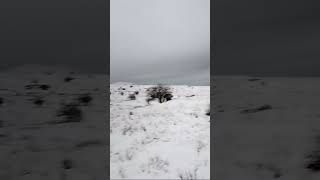 Beautiful Snowfall around Quetta youtubeshort mountains snowfall snow [upl. by Ulland]