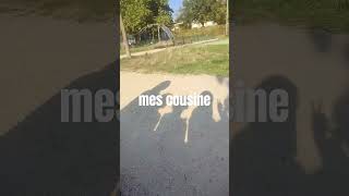 mes cous et moi moi je suis la 4 ème [upl. by Assennej]