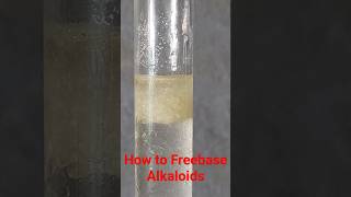 PEA Phenylethylamine HCl Freebase reaction [upl. by Daryl994]