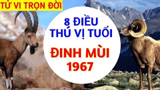 8 ĐIỀU THÚ VỊ VỀ TUỔI ĐINH MÙI  1967 SỰ NGHIỆP TÍNH CÁCH VẬN MỆNH NGƯỜI TUỔI MÙI TỬ VI 12 CON GIÁP [upl. by Noitsuj]