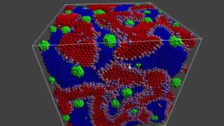 CUDA amphiphilic molecule simulation test [upl. by Hoisch]