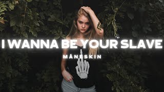 Måneskin  I WANNA BE YOUR SLAVE Lyrics [upl. by Englebert336]