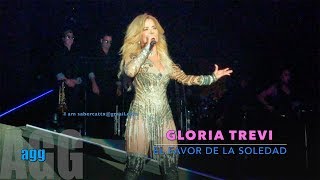 El Favor De La Soledad GLORIA TREVI Versus Alejandra Guzman Tour 2017 Laredo TX 4K [upl. by Suravaj170]