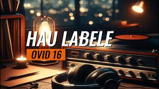 Ovid 16  Hau Labele Lirik Musik Video [upl. by Eeraj]