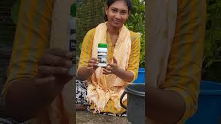 Uses Of Humic Acid হিউমিক অ্যাসিডের ব্যবহার plantfertilizer humicacid plantcare [upl. by Balch247]