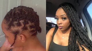 Soft Locs Over NaturalStarter Locs  Beginner Friendly [upl. by Reivazx726]