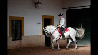 The Dancing Horses of Jerez Andalucia [upl. by Nihsfa]