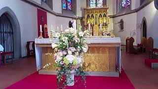 St Florin Cathedral of VADUZ Liechtenstein [upl. by Buckie]