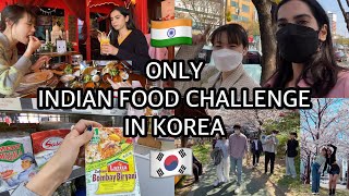 🇰🇷24 HOURS INDIAN FOOD CHALLENGE IN KOREA🇮🇳  Korean spring 🌸cooking amp shopping 🛍 [upl. by Aloek]