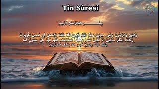 Tin Suresi  Hafız Arif sureler ayetler kuranıkerim islamicvideo islamicdua islamic keşfet [upl. by Lawrence855]