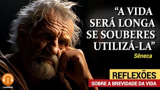 Sêneca  Sobre a Brevidade da Vida Reflexões sobre a Efemeridade do Tempo estoicismo audiobook [upl. by Ahsenak]