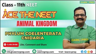 Phylum Coelenterata Cnidaria  Animal Kingdom  NEET  Biology  Class 11th neet goc biology [upl. by Jorgenson]