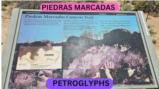 Piedras Marcadas Petroglyphs Canyon Fieldtrip [upl. by Hartzke]