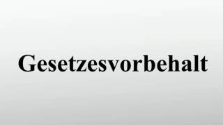 Gesetzesvorbehalt [upl. by Runkle]