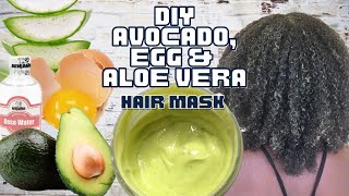 Avocado Aloe Vera amp Egg Hair Mask  GROW MOISTURIZE AND STRENGHTEN YOUR HAIR [upl. by Ortrude]