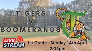 Tigers V Boomerangs 1st Grade [upl. by Phia]