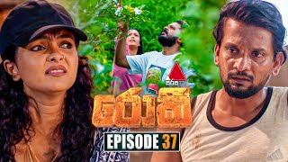 Rocky රොකී  Episode 37  01st October 2024  Sirasa TV [upl. by Wesley940]